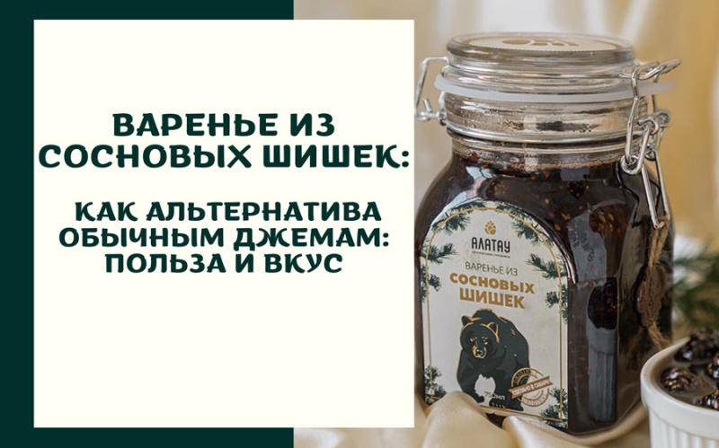 Варенье из сосновых шишек как альтернатива обычным джемам: польза и вкус Варенье из сосновых шишек как альтернатива обычным джемам: польза и вкус