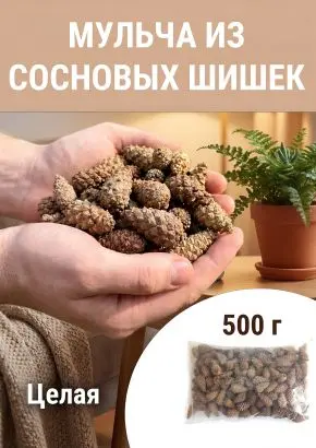 Мульча для сада из шишек целая 500 гр