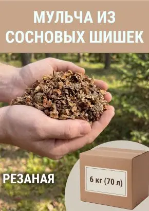 Мульча для комнатных растений из шишек резаных 6 кг