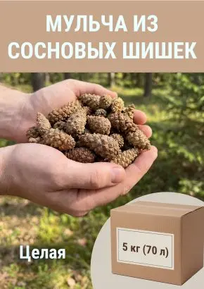 Мульча для сада из шишек целых 5 кг