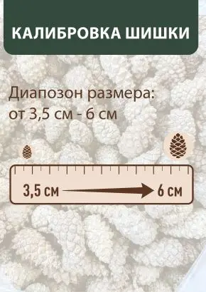 Мульча для сада из шишек целых 5 кг